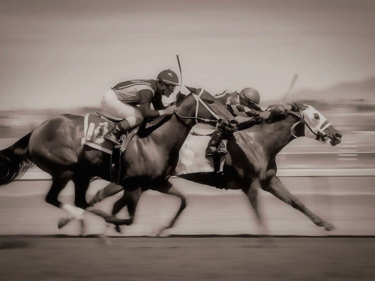 The Plaza Hotel Pioneer Park El Paso Extérieur photo Thoroughbred horses racing